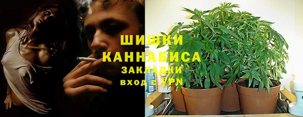 мдпв Россошь